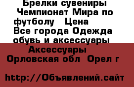 Брелки-сувениры Чемпионат Мира по футболу › Цена ­ 399 - Все города Одежда, обувь и аксессуары » Аксессуары   . Орловская обл.,Орел г.